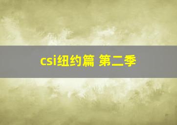 csi纽约篇 第二季